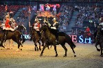 Cavalry - 00132
